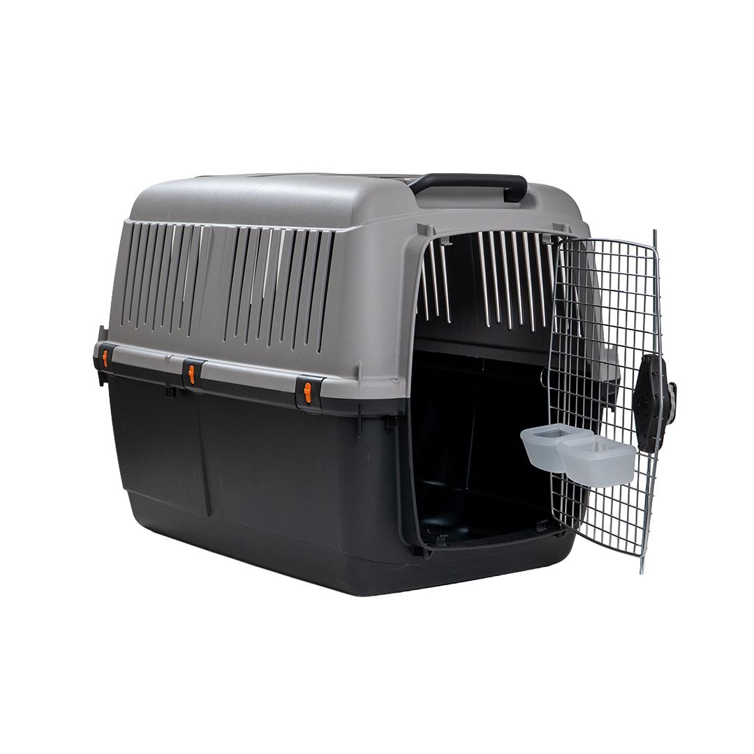 Kennel BRACCO 5