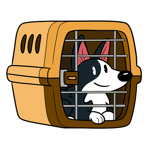 Kennel Training