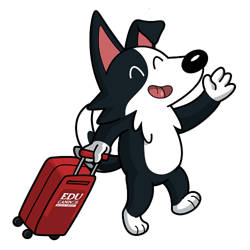 Viaja con tu Mascota